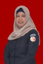anggota bawaslu