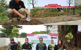Mewujudkan Pengawasan Pemilu Yang Transparan, Bawaslu Kalteng Tanam Pohon Integritas